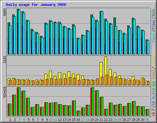 Daily usage for January 2026