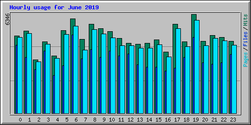 Hourly usage for June 2019