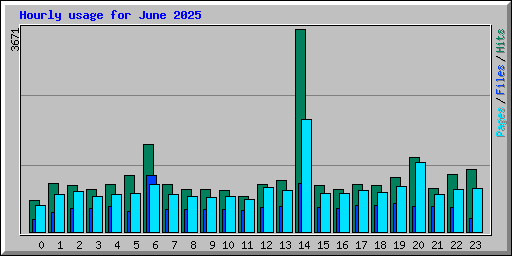 Hourly usage for June 2025