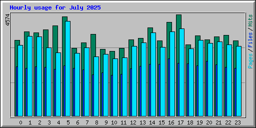 Hourly usage for July 2025
