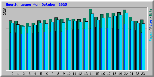 Hourly usage for October 2025