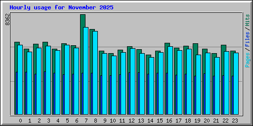 Hourly usage for November 2025
