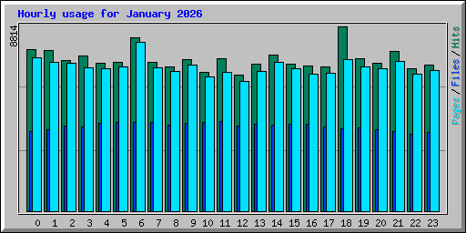 Hourly usage for January 2026