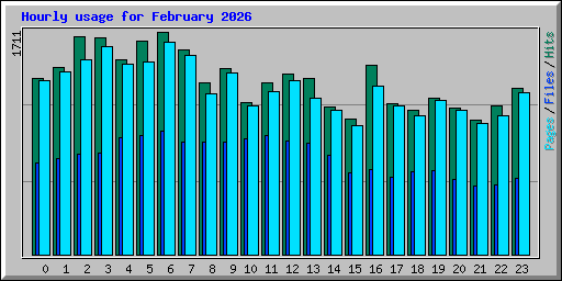 Hourly usage for February 2026