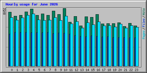 Hourly usage for June 2026