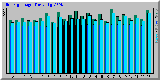 Hourly usage for July 2026
