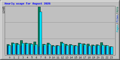 Hourly usage for August 2026